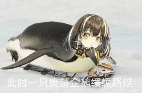 明日方舟 最难抽到的角色(明日方舟推出史上最难活动!玩家被打蒙,哭着说再也不作死) 第16张 明日方舟 最难抽到的角色(明日方舟推出史上最难活动!玩家被打蒙,哭着说再也不作死) 第16张