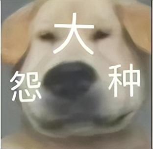 腾讯二次元游戏有哪些(腾讯游戏领域赚了钱,网易却和暴雪闹分家,二次元游戏还能赚钱吗) 第12张 腾讯二次元游戏有哪些(腾讯游戏领域赚了钱,网易却和暴雪闹分家,二次元游戏还能赚钱吗) 第12张