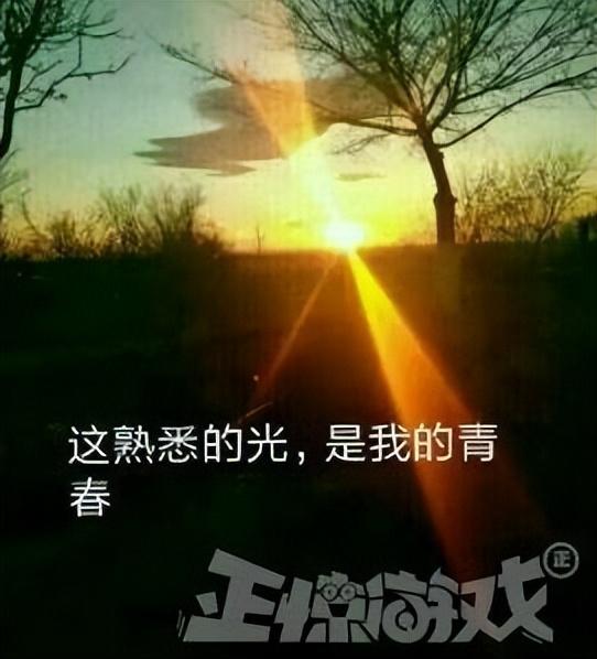 腾讯广告游戏有哪些(腾讯难得的高口碑游戏，没广告还不氪金，结果都在今年凉凉？)  第12张