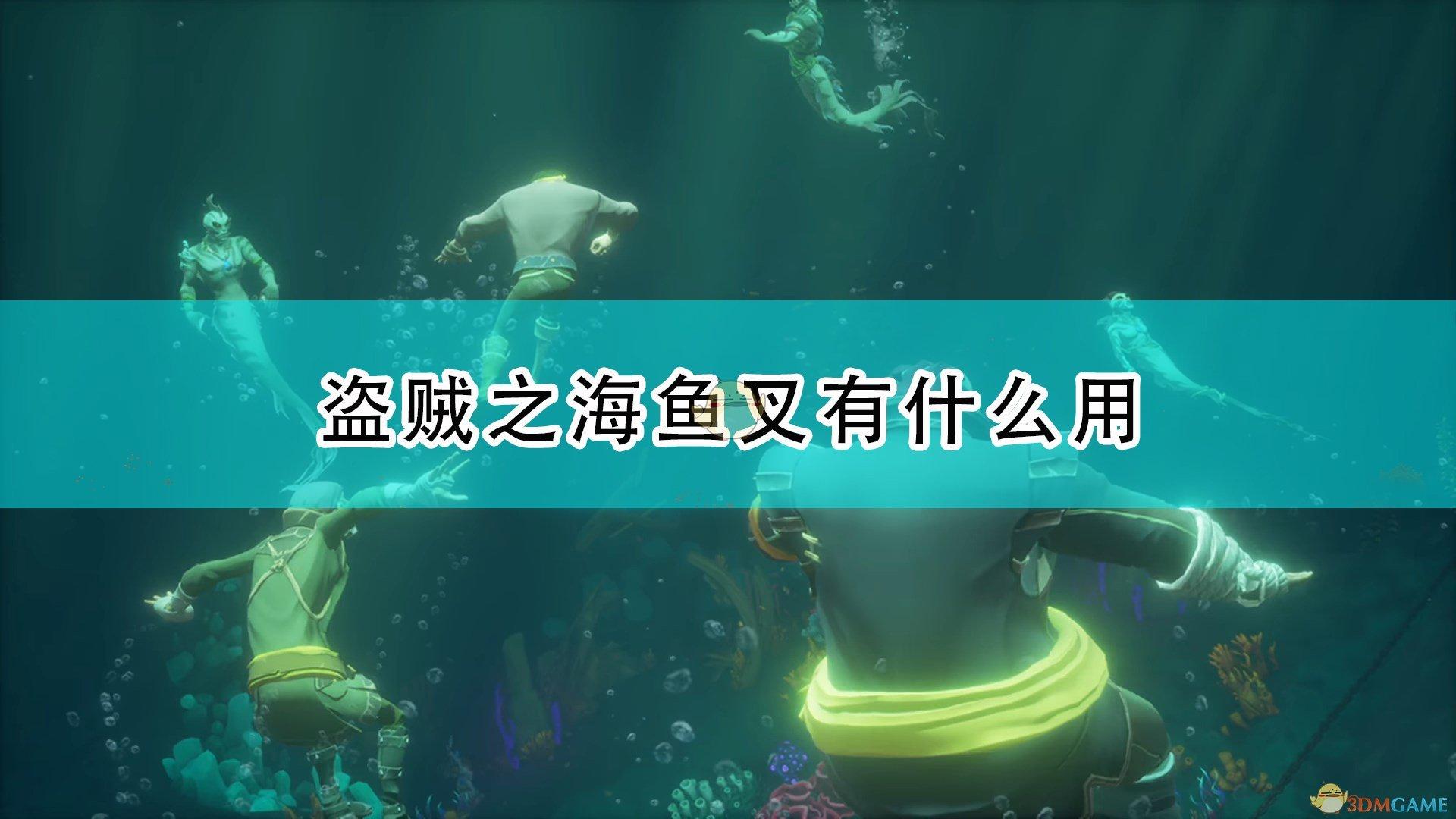 盗贼之海 鱼叉(《盗贼之海》鱼叉作用效果介绍)  第1张