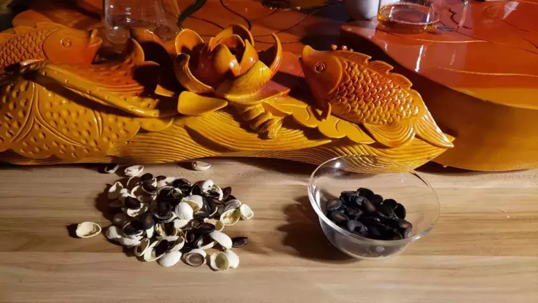湿的瓜子能吃吗(湿瓜子是什么瓜子(《湿瓜子、开心果与月圆之夜的梦想解说》)) 第1张 湿的瓜子能吃吗(湿瓜子是什么瓜子(《湿瓜子、开心果与月圆之夜的梦想解说》)) 第1张