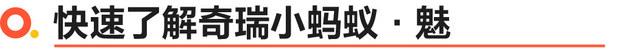 2021款奇瑞小蚂蚁上市时间(奇瑞小蚂蚁新车型上市(奇瑞小蚂蚁·魅正式上市8.552-9.152万元))  第5张
