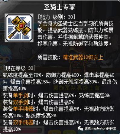 冒险岛圣骑士技巧(冒险岛圣骑士技能详解(冒险岛职业攻略-圣骑士篇))  第2张