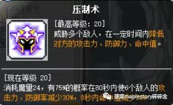 冒险岛圣骑士技巧(冒险岛圣骑士技能详解(冒险岛职业攻略-圣骑士篇))  第16张