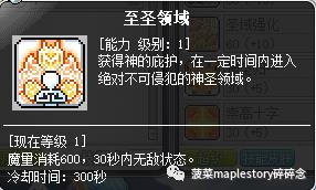 冒险岛圣骑士技巧(冒险岛圣骑士技能详解(冒险岛职业攻略-圣骑士篇))  第21张