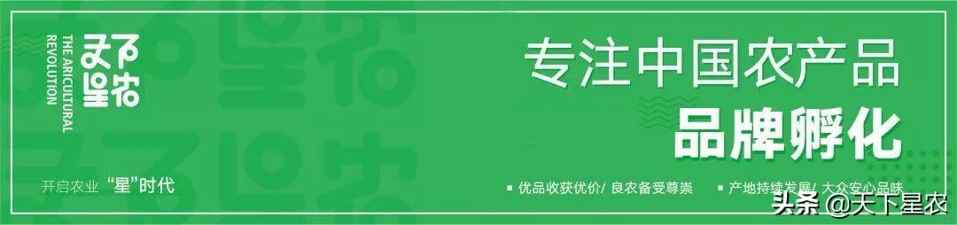 香肠派对怎么用美味值买衣服教程(香肠派对美味值价格(香肠派对:美味不用等,搞怪又欢乐)) 第2张 香肠派对怎么用美味值买衣服教程(香肠派对美味值价格(香肠派对:美味不用等,搞怪又欢乐)) 第2张