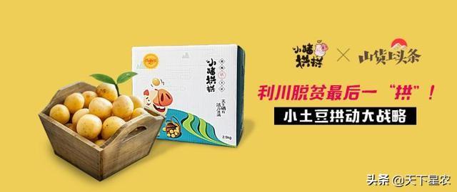 香肠派对怎么用美味值买衣服教程(香肠派对美味值价格(香肠派对:美味不用等,搞怪又欢乐)) 第8张 香肠派对怎么用美味值买衣服教程(香肠派对美味值价格(香肠派对:美味不用等,搞怪又欢乐)) 第8张