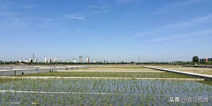 幻塔a-02(幻塔人工岛风景点外岛(幻塔人工岛风景点))  第3张