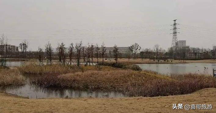 幻塔a-02(幻塔人工岛风景点外岛(幻塔人工岛风景点))  第4张