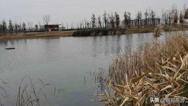 幻塔a-02(幻塔人工岛风景点外岛(幻塔人工岛风景点))  第7张