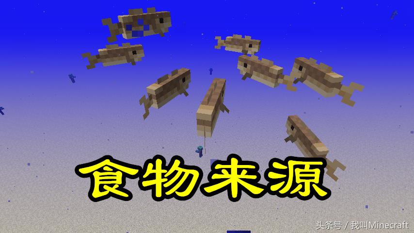 我的世界超平坦水世界生存(我的世界：超平坦水世界，没有陆地怎么玩？老MC只用了这7招)  第5张