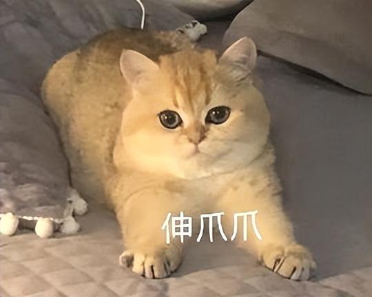 蛋仔派对手游下载最新版(网易新游《蛋仔派对》5.27激情公测？！还有众多高能联动来袭)  第4张