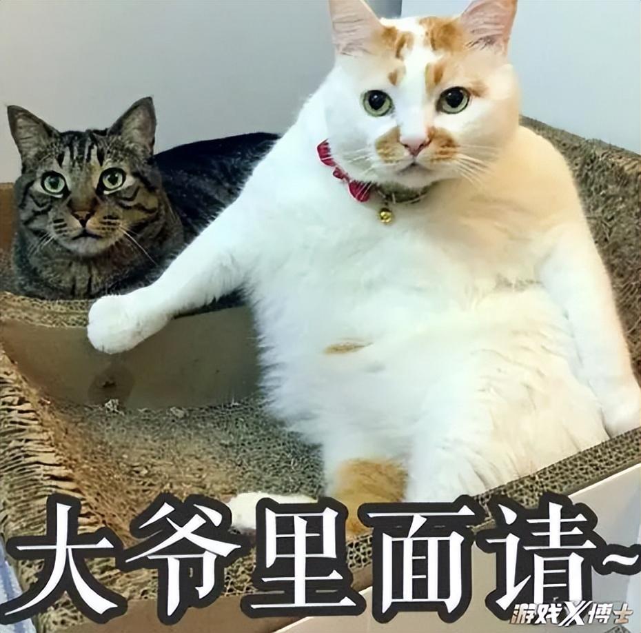 永恒之塔会不会出怀旧服(天选对手？《永恒之塔》13年里，竟遇到两次《魔兽》停运！)  第3张