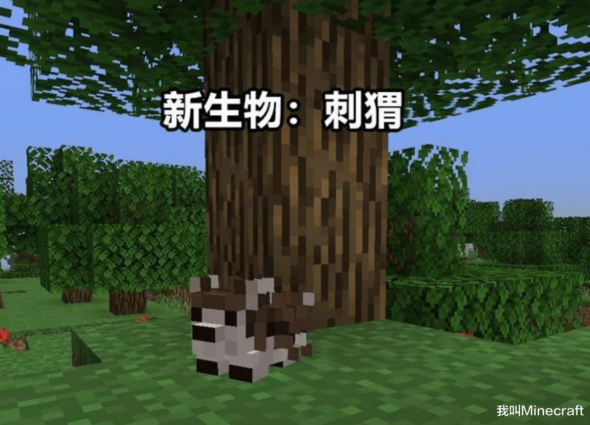 我的世界新生物投票结果(我的世界：还剩20天！mc新生物投票开启，今年还能拿披风么？)  第6张