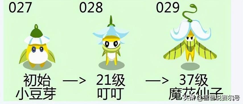 赛尔号小豆芽刷新时间(赛尔号：从沼泽野怪变优质少女？经典神宠小豆芽十二年进阶史)  第2张