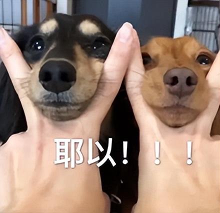 幻塔玩法(幻塔正式(「幻塔」新内容太能打！你甚至能玩到吃鸡))  第16张