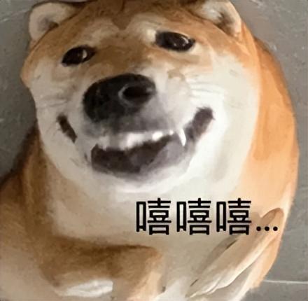 幻塔玩法(幻塔正式(「幻塔」新内容太能打！你甚至能玩到吃鸡))  第24张