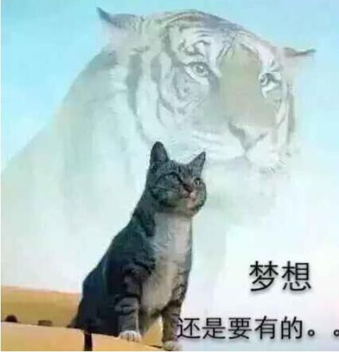 《梦幻西游网页版》同盟联赛玩法正式上线，联赛商掂珍宝让人眼馋  第5张