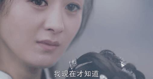 新的国产电影类型武侠片(新的国产武侠片(国产武侠终于不敢埋没她))  第14张
