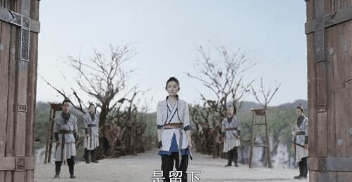 新的国产电影类型武侠片(新的国产武侠片(国产武侠终于不敢埋没她))  第30张